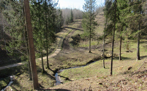 23_Gegrenu piliakalniu takas. A. Brazdeikytes n (3).jpg